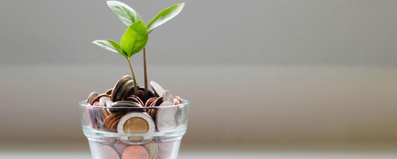Vaso transparente com muito dinheiro em moedas com planta crescendo simbolizando o aumento dos juros - taxa Selic