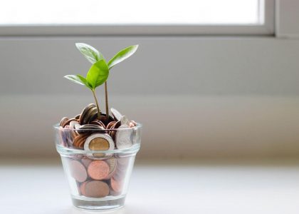 Vaso transparente com muito dinheiro em moedas com planta crescendo simbolizando o aumento dos juros - taxa Selic